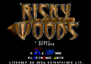 Заставка игры Risky Woods